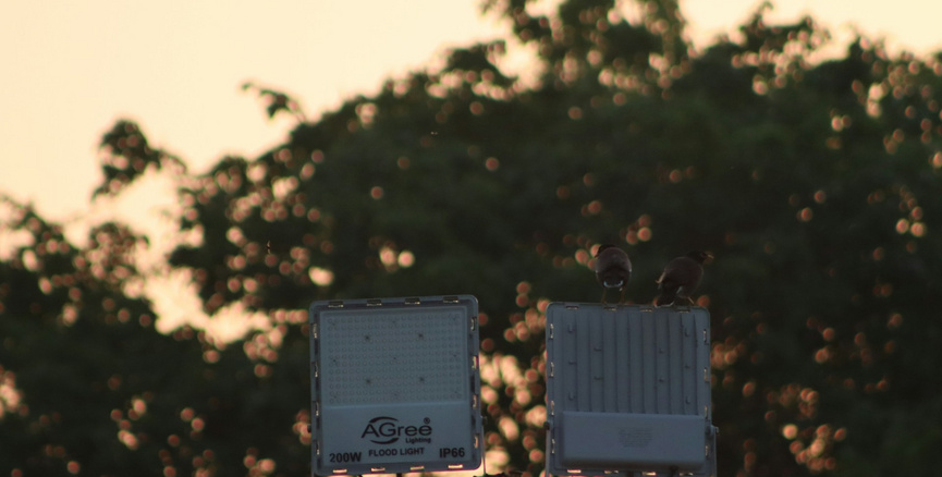400电话未来的发展趋势