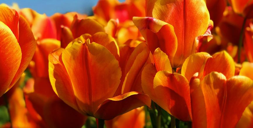 其它地方办理的400电话能在400Link续费吗？